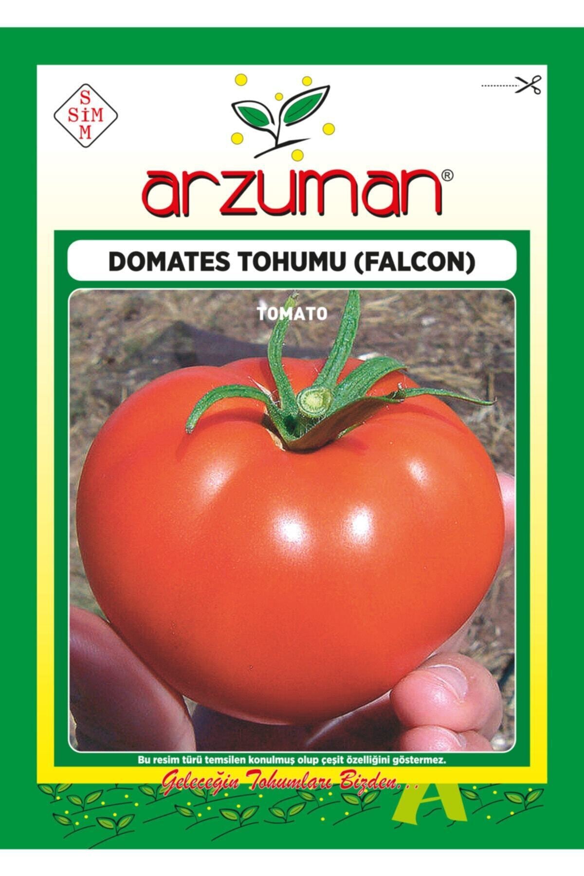 Domates Tohumu (Falcon)