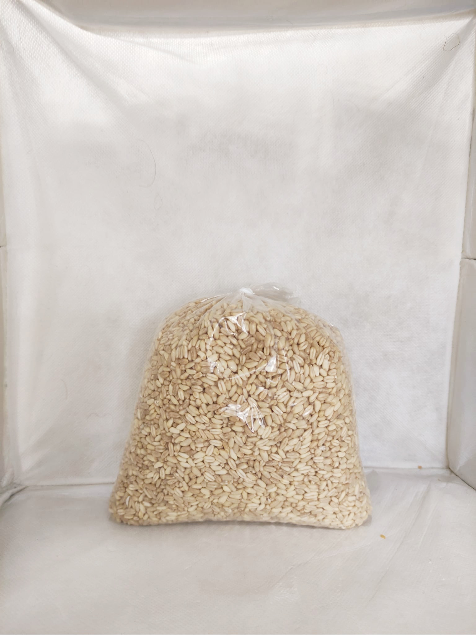 Aşurelik Buğday 1kg