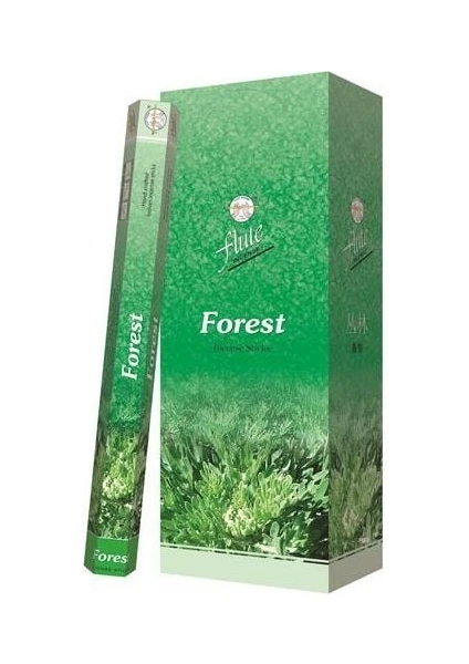 FLUTE ORMAN (FOREST) TÜTSÜ