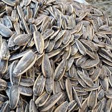 Siyah Tuzlu Çekirdek (500 Gr)