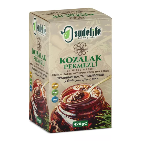 FATİH SUDE KOZALAK PEKM. MACUN 420 g