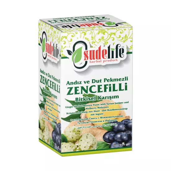 FATİH SUDE ZENCEFİLLİ MACUN 420 g