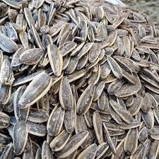 Siyah Tuzlu Çekirdek (500 Gr)